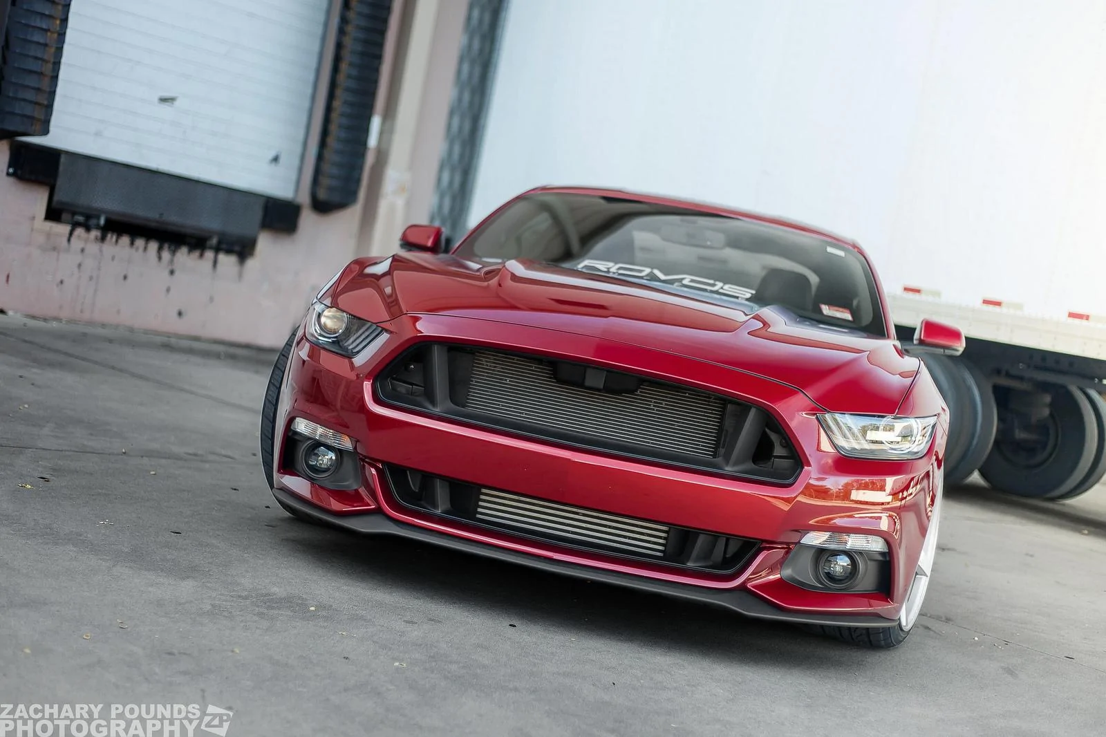 24943568826_95d65ecfa1_h.webp