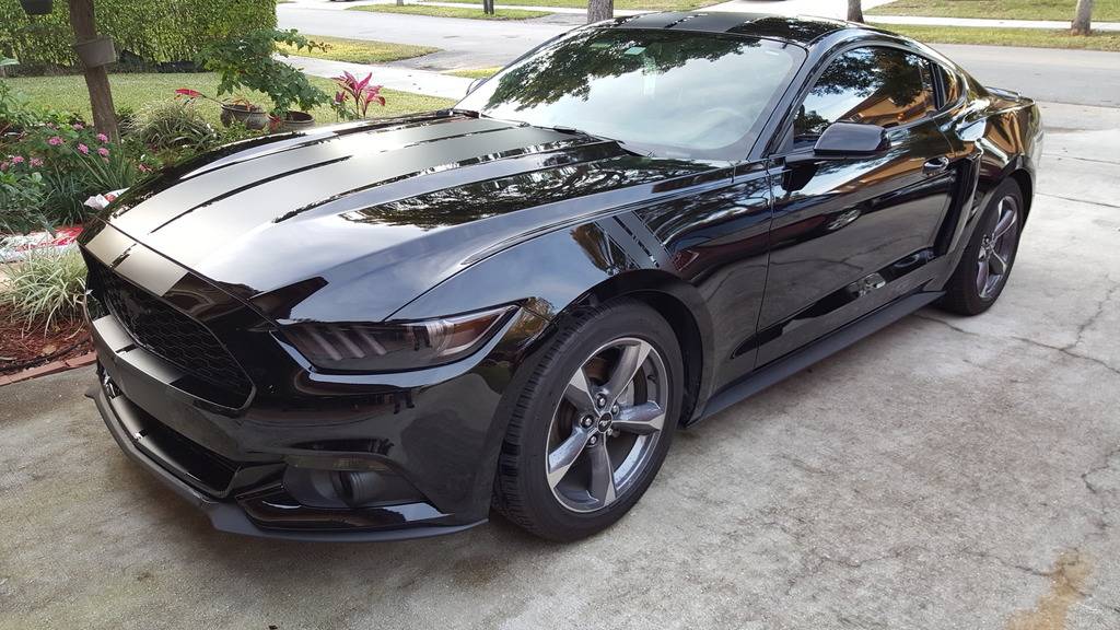 Mustang2_zpsq1ylv9rw.jpg