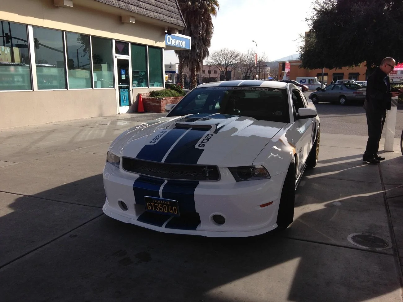 picture.webp