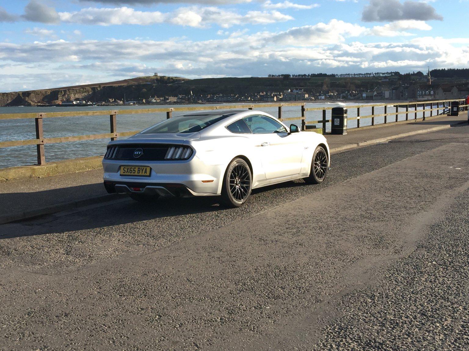 9798f1e31ba8cc7f02087ffd830e1f3f.jpg