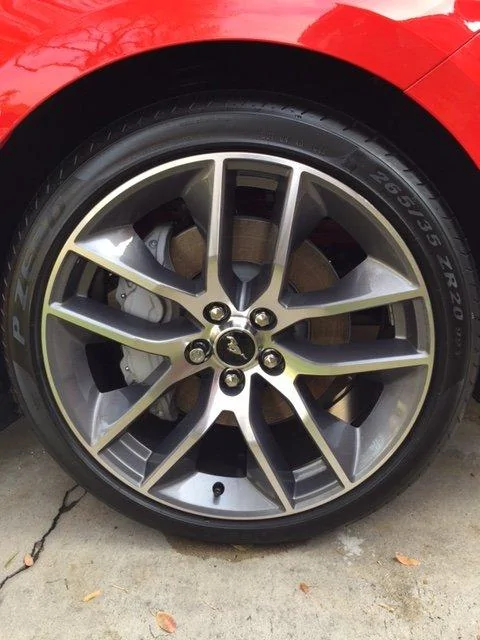 image5.webp