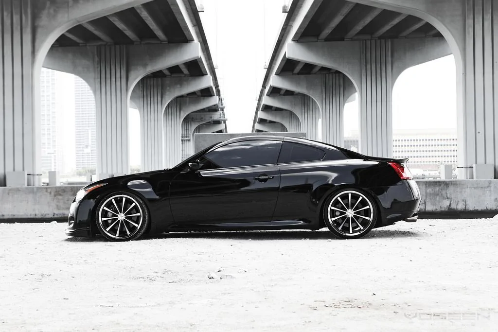 Vossen Cv1.webp