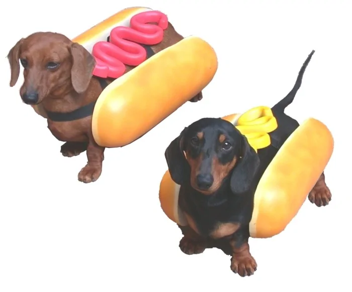 Hot Dogs 11300001-img.webp