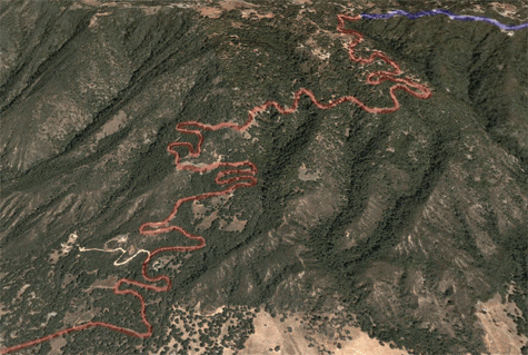 palomar3.gif