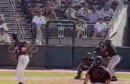 Randy Johnson Bird.gif