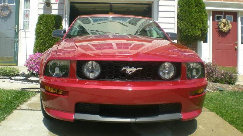 My mustang.jpg