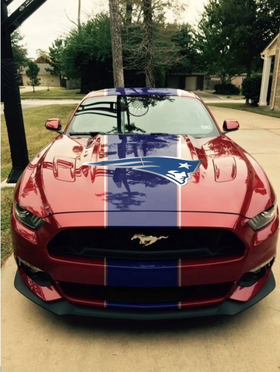 Patriot Mustang.webp