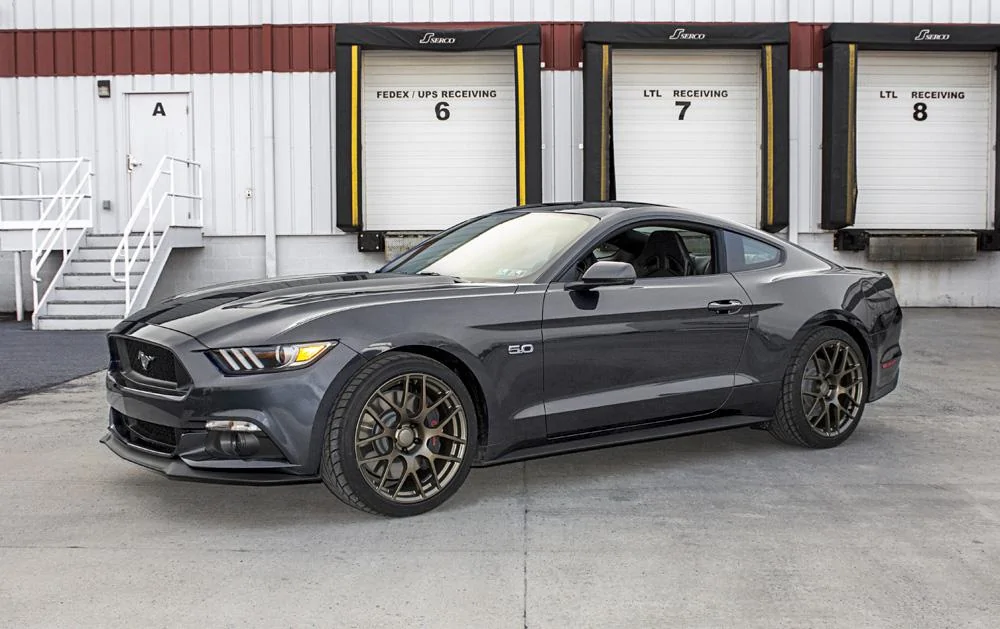 Stang Magnetic Bronze.webp