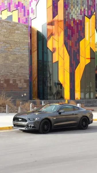 mustang.webp