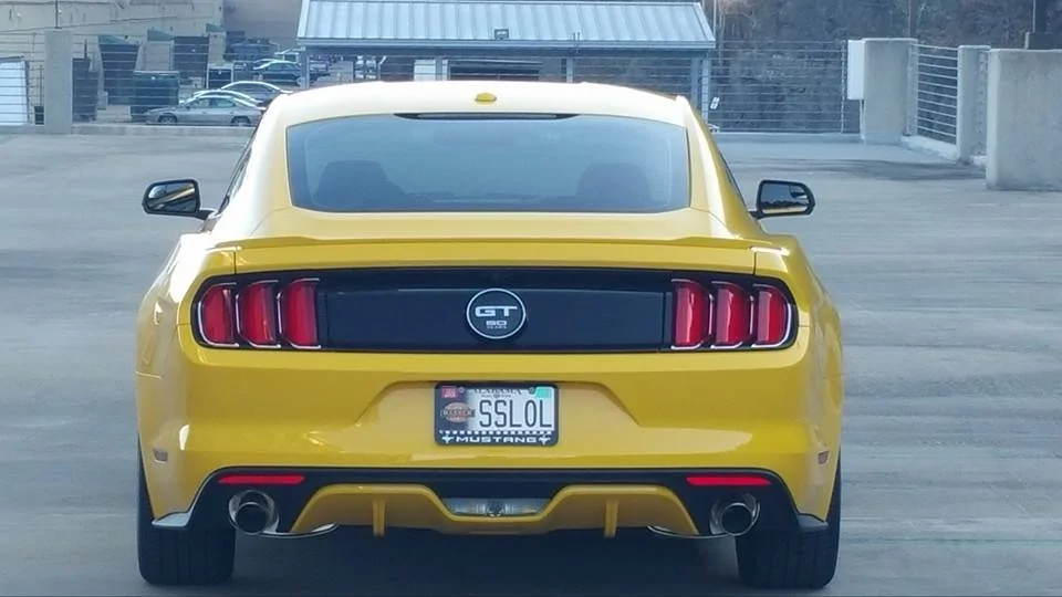 rear mustang.webp
