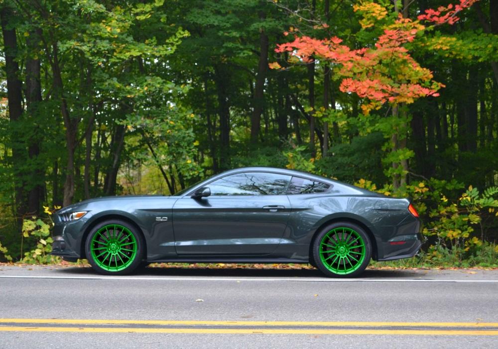 2015-Guard-Mustang1-013_zps32d81156.jpg