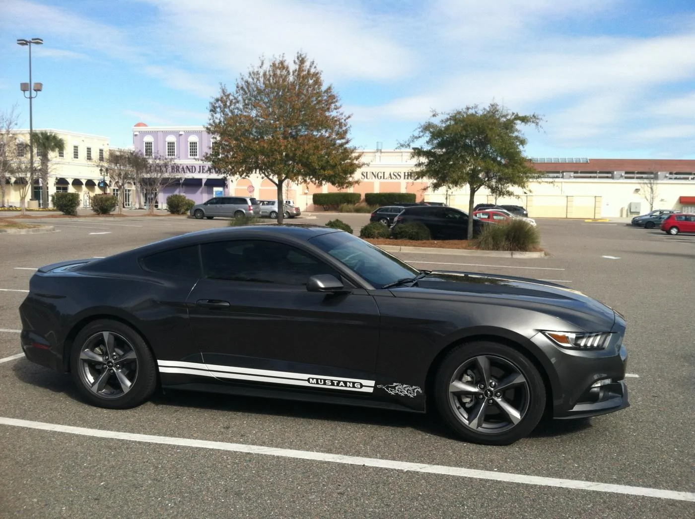 MustangatTanger.webp