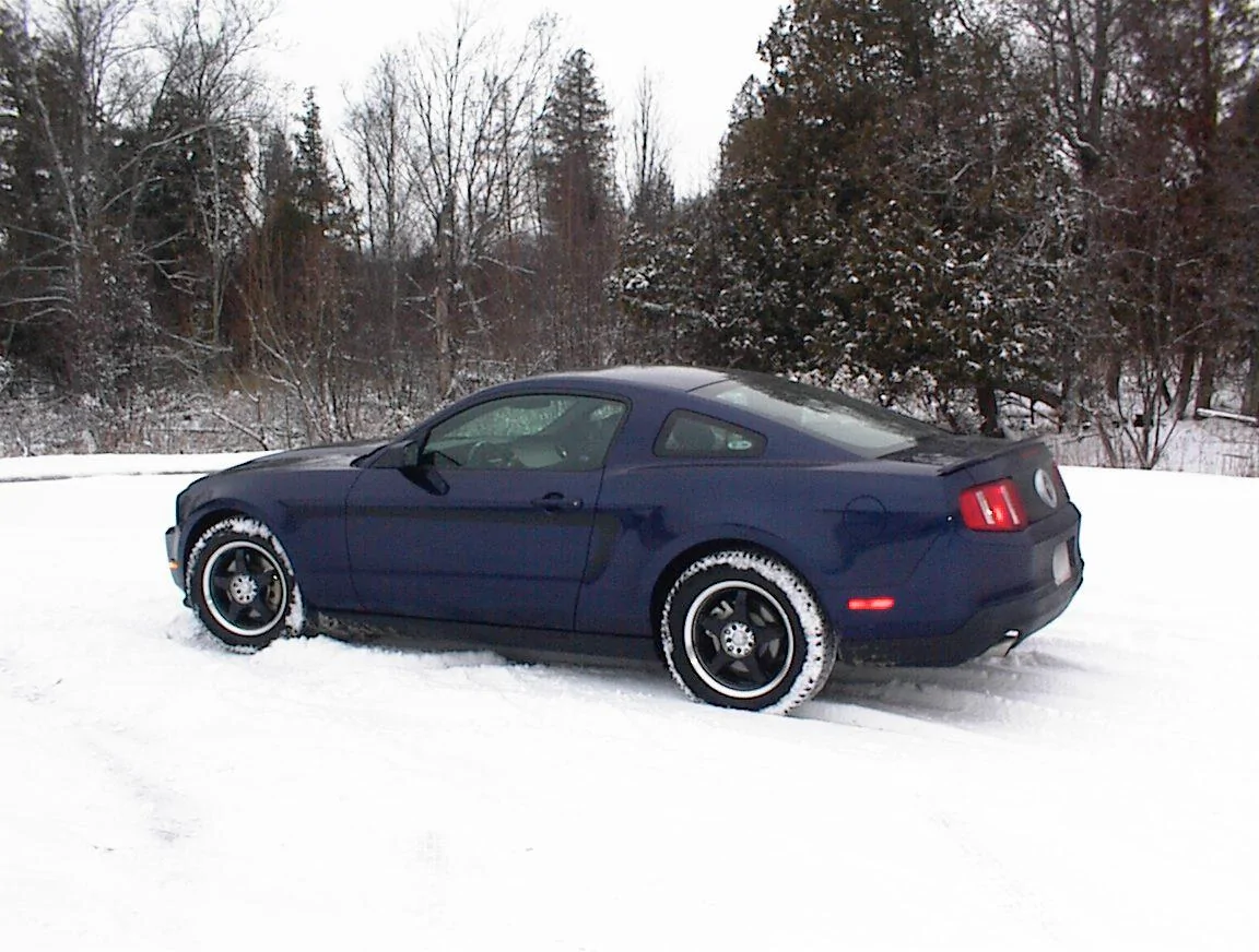 2010 1st snow 1.webp