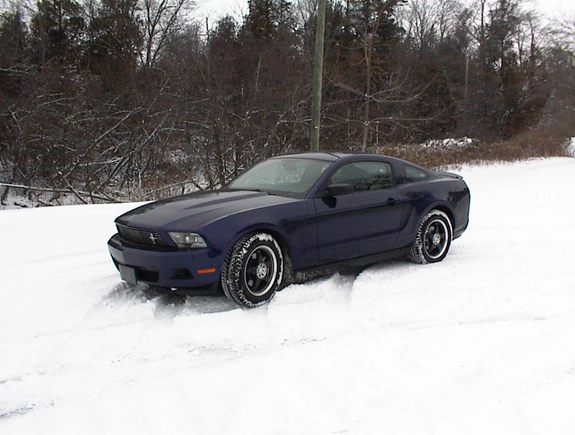 2010 1st snow 2.webp