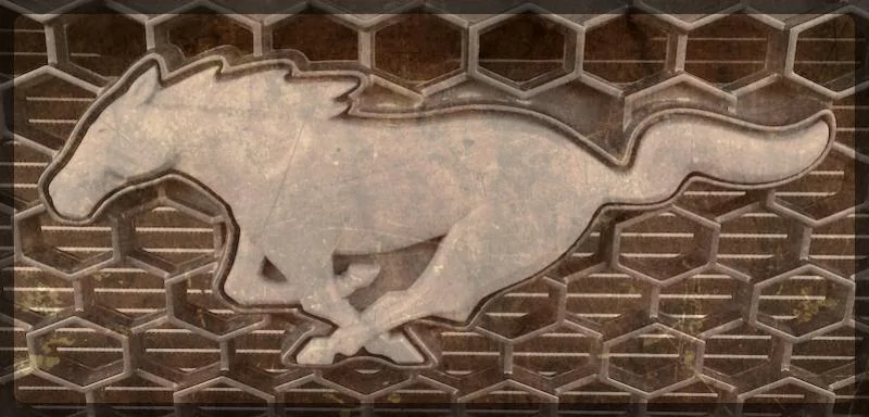 Pony7.webp