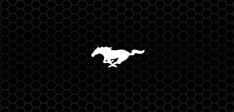 m logo 1.webp