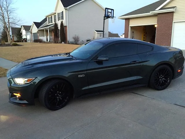 Mustang Tinted windows .webp