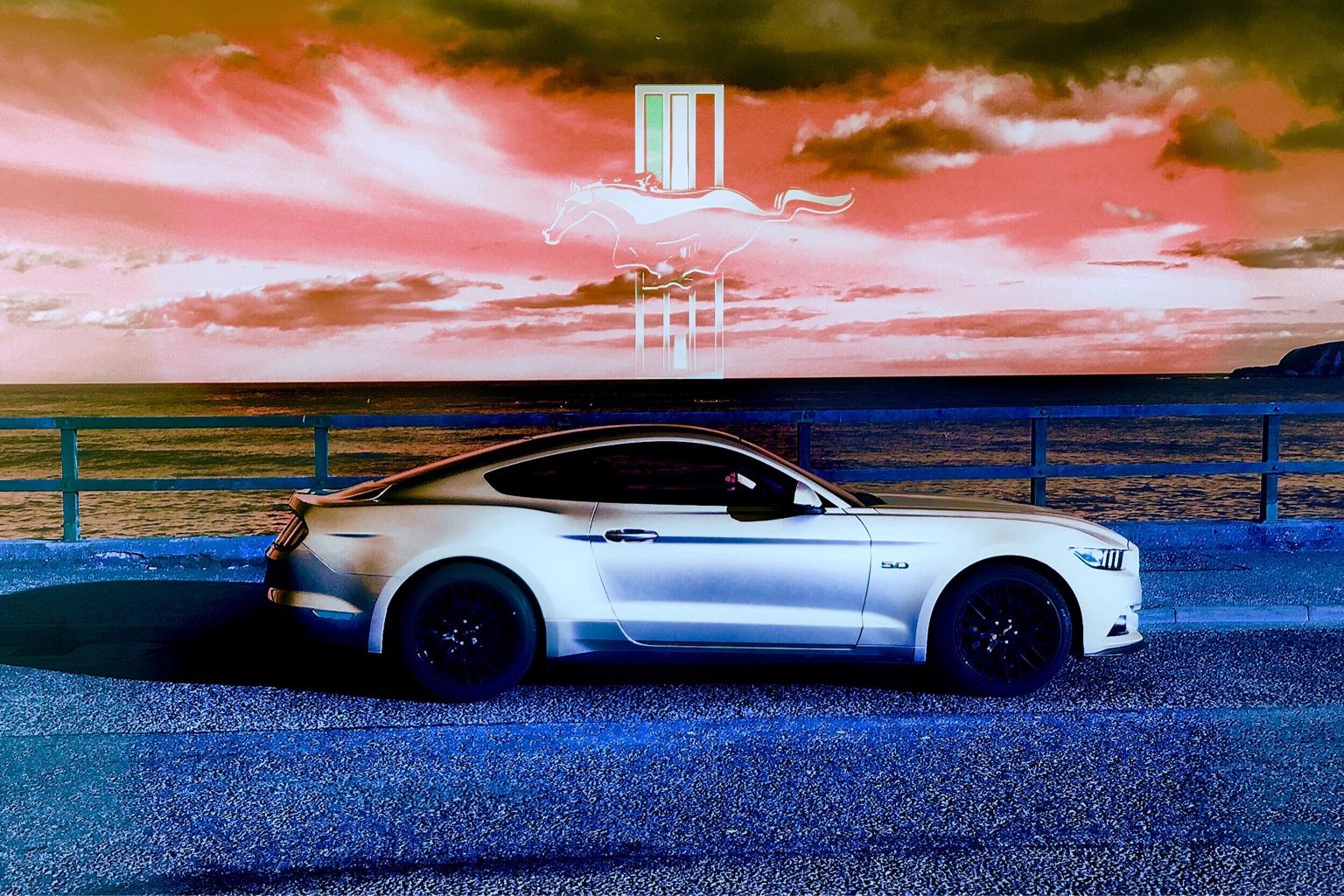 f1c11063d8dbfca7e72c27e2b6391083.jpg