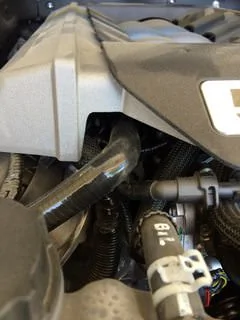 m9DAU9Rm.webp