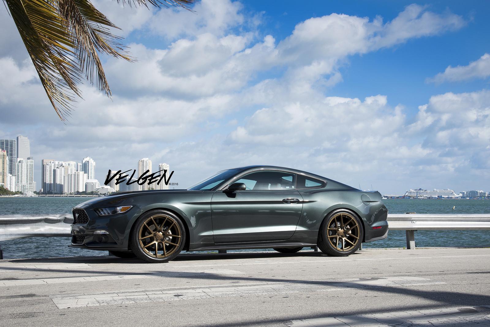 Guard-Green-Mustang-VMB5-Satin-Bronze-1.jpg