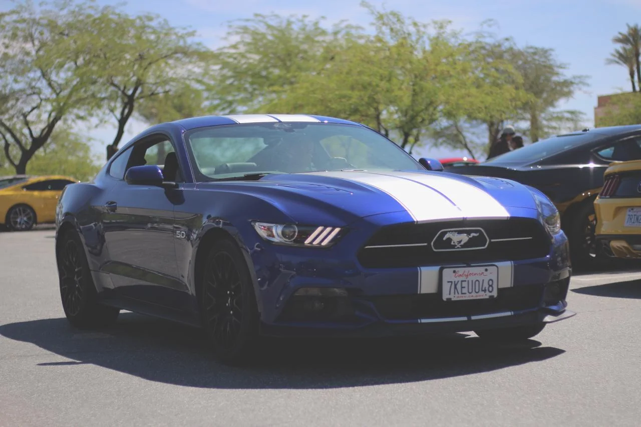 IeaxPXX.webp
