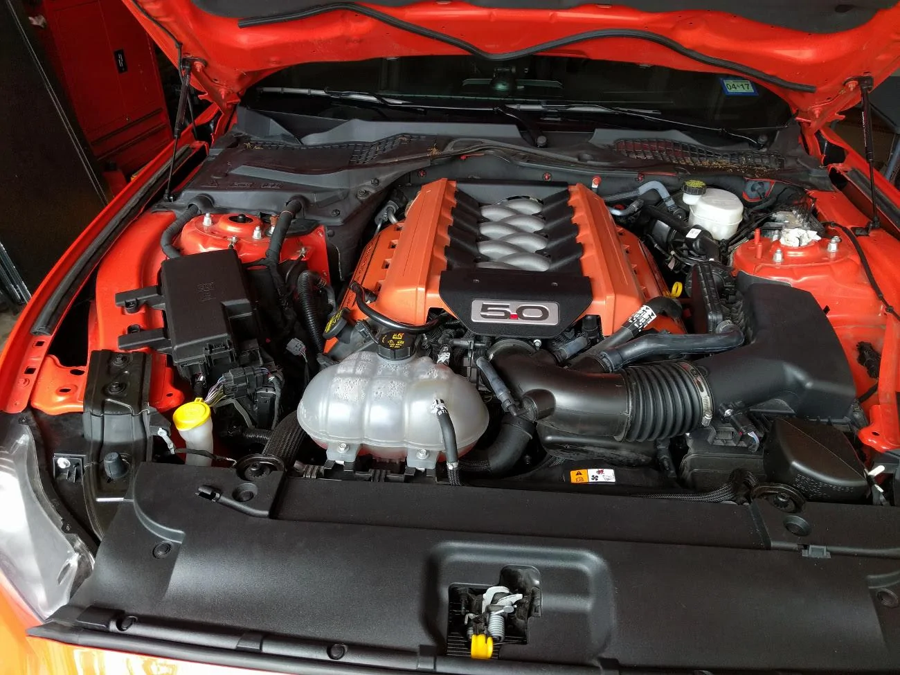 picture.webp