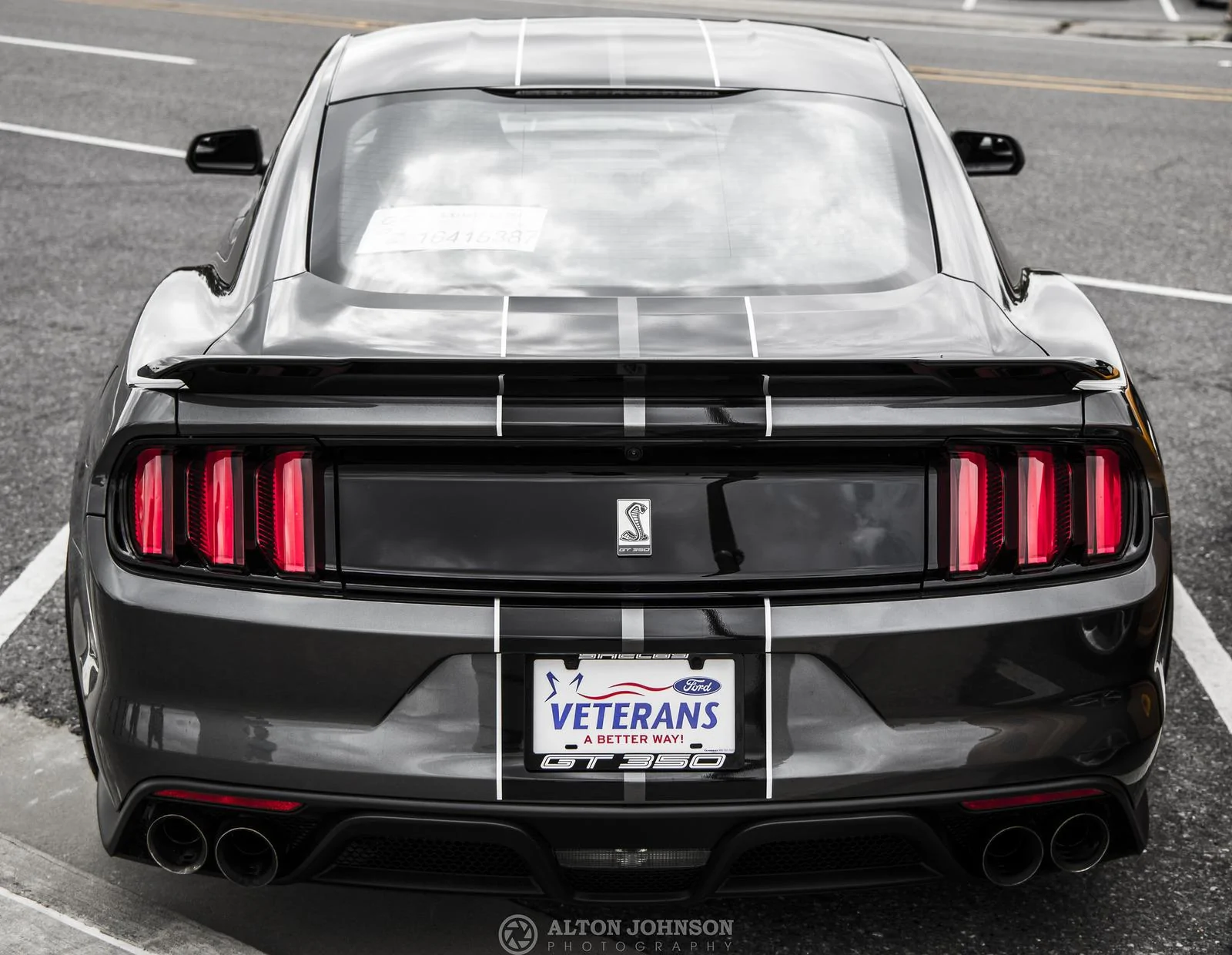 26646071202_90cf57513e_k.webp