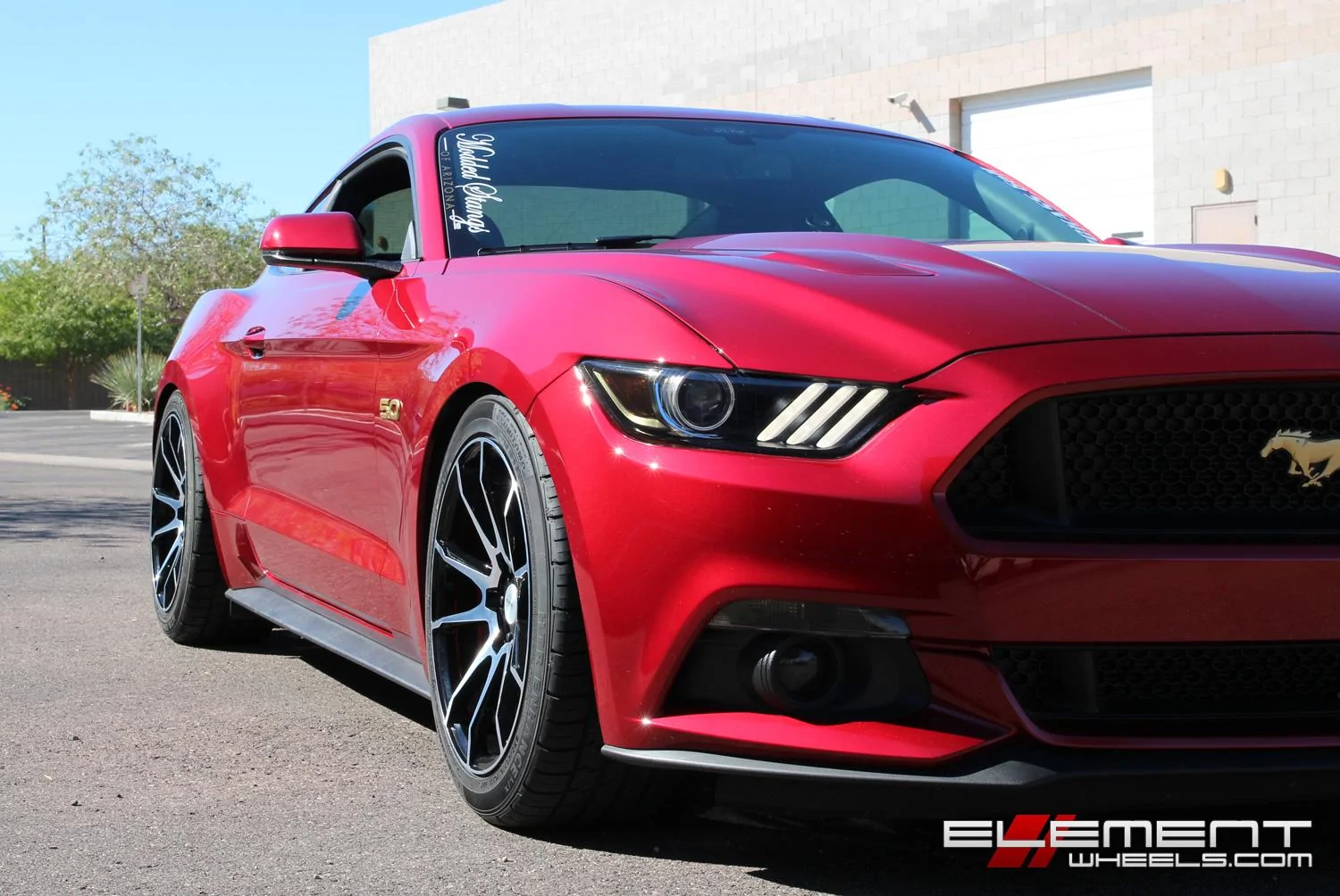 mustangbm12blkmach2.webp