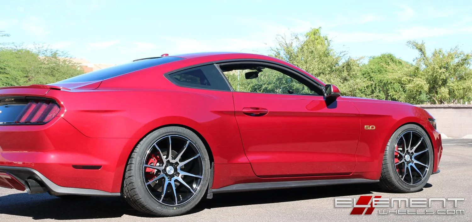 mustangbm12blkmach.webp