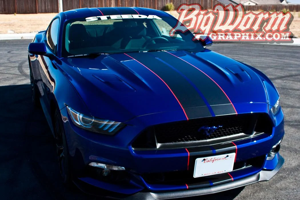 2015-gt-blue-matte-blk-gls-red-narrow-dual-lrg.webp