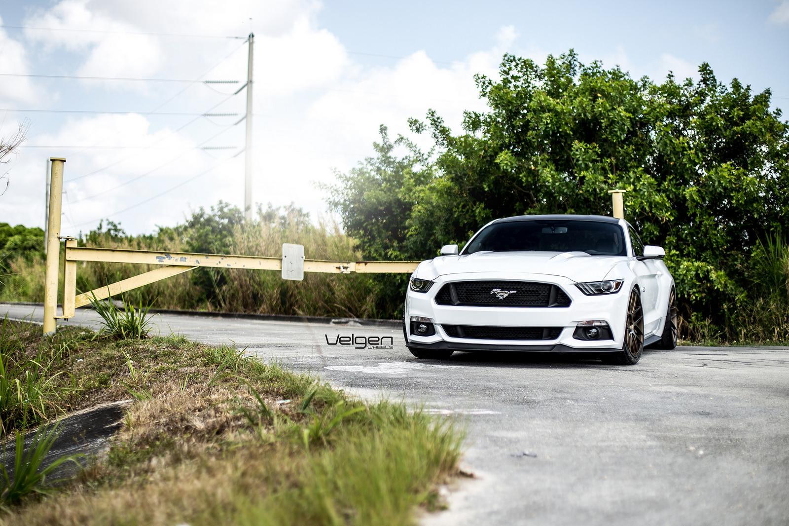Oxford-White-Mustang-VMB7-Satin-Bronze-1.jpg