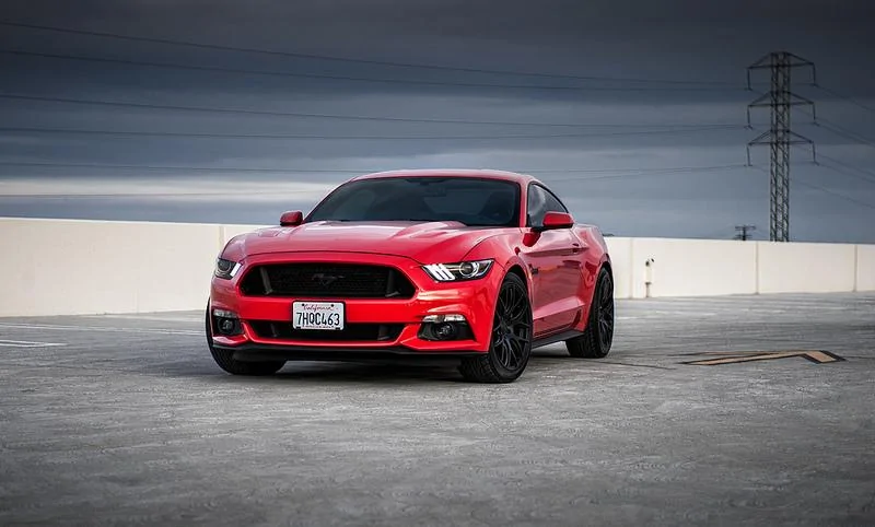 27123614965_78253fca0b_c.webp