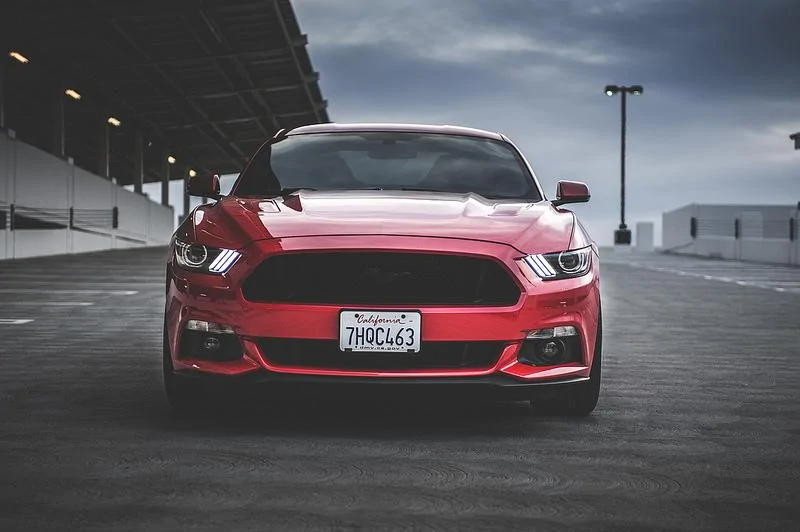 27091947566_8497bf4cf9_c.webp