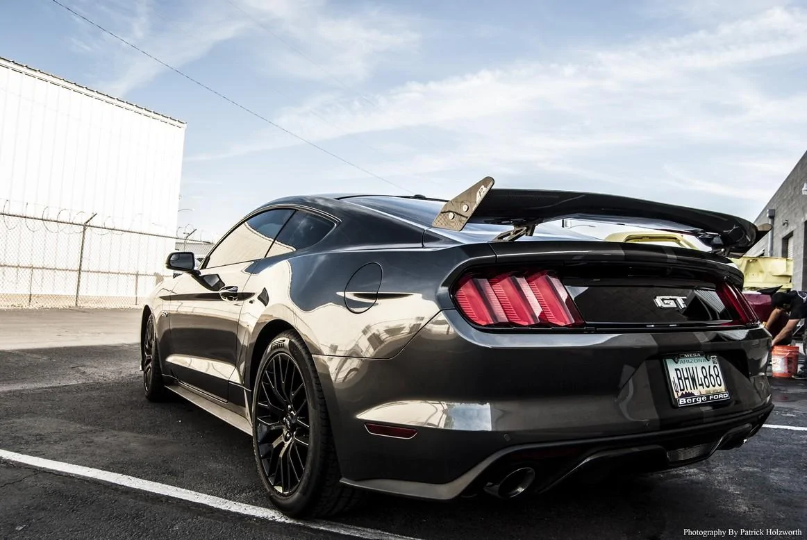 2015%20Back%202.webp