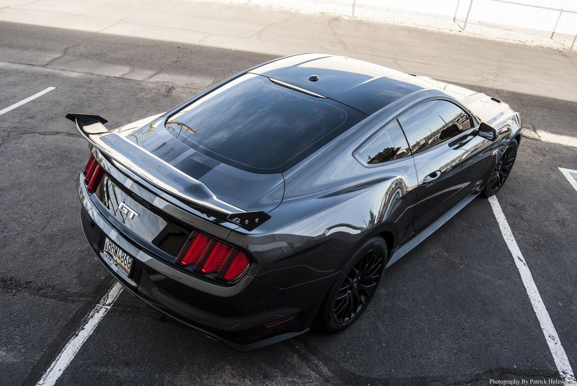 2015%20Back.jpg