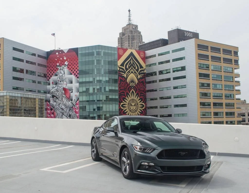 DSC_0641_zpsuyvpcbho.webp