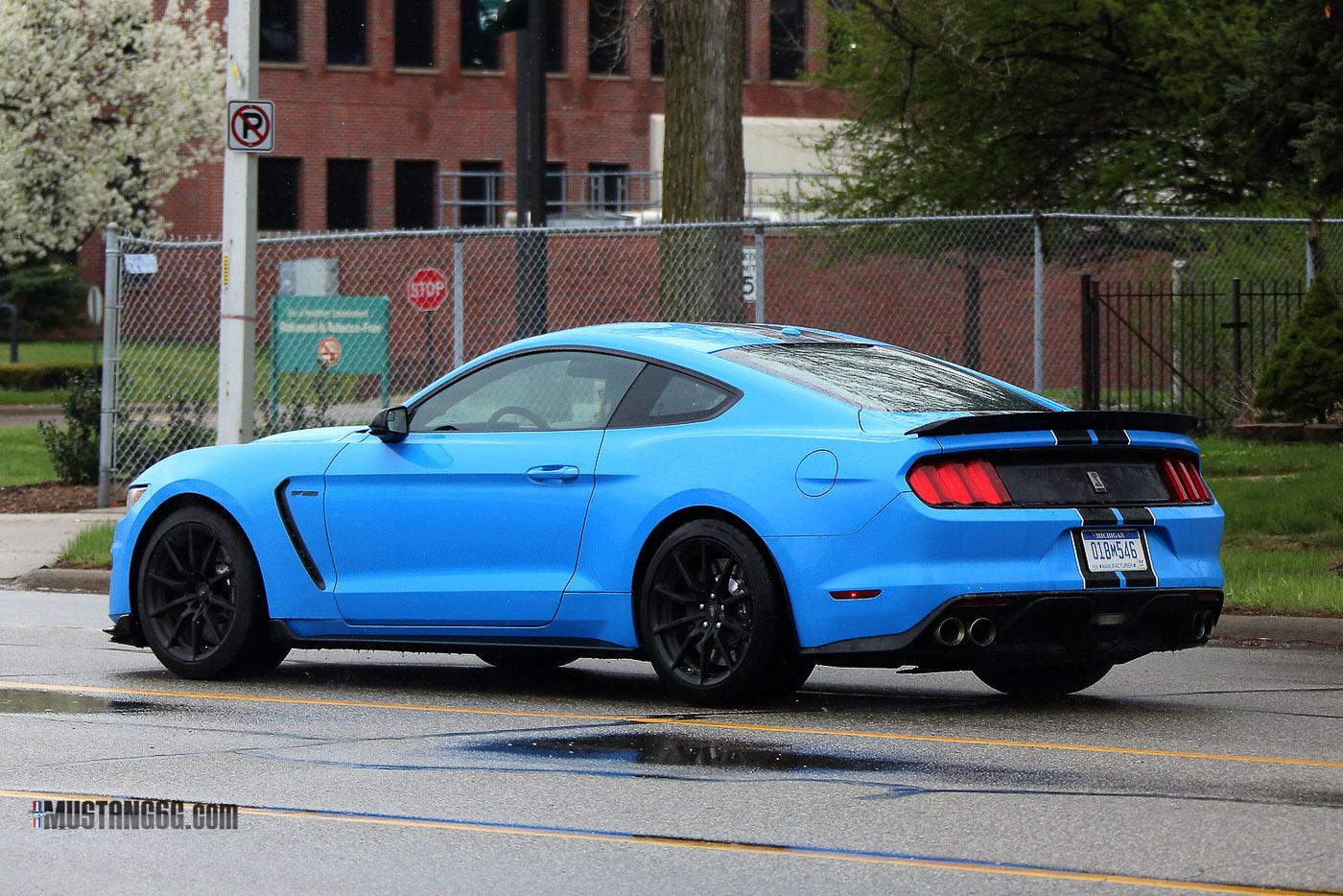 blue1.jpg