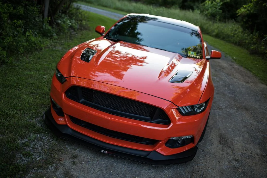 26941874564_a04c7ea3af_b.webp