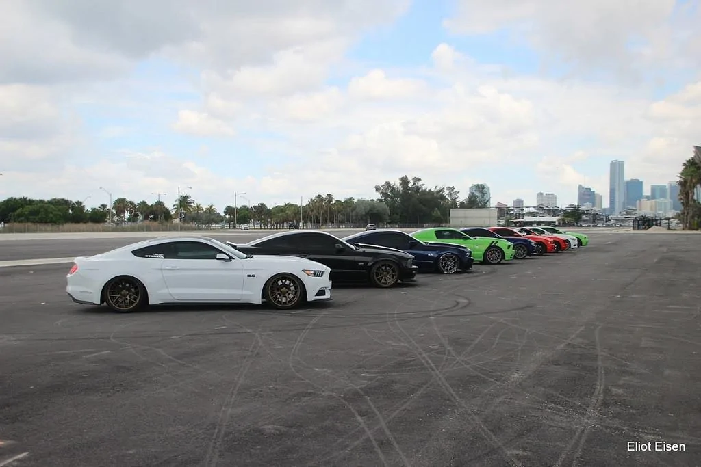 Mustang-Take-Over-1.webp