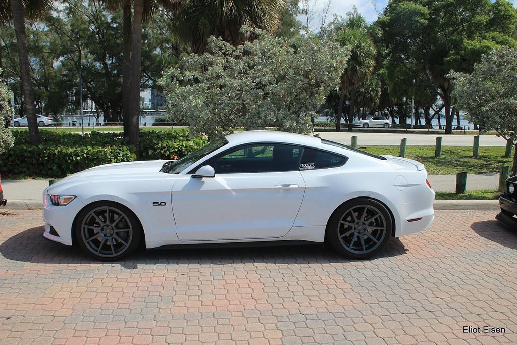 Mustang-Take-Over-4.jpg