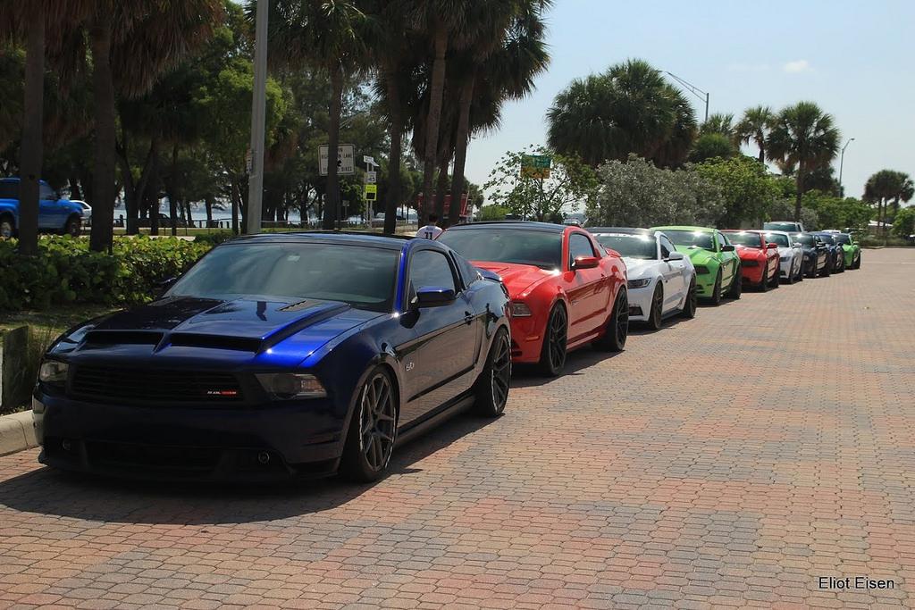 Mustang-Take-Over-5.jpg