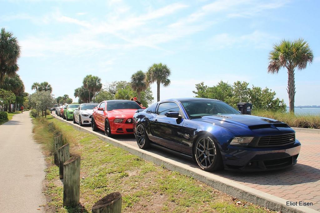 Mustang-Take-Over-8.jpg