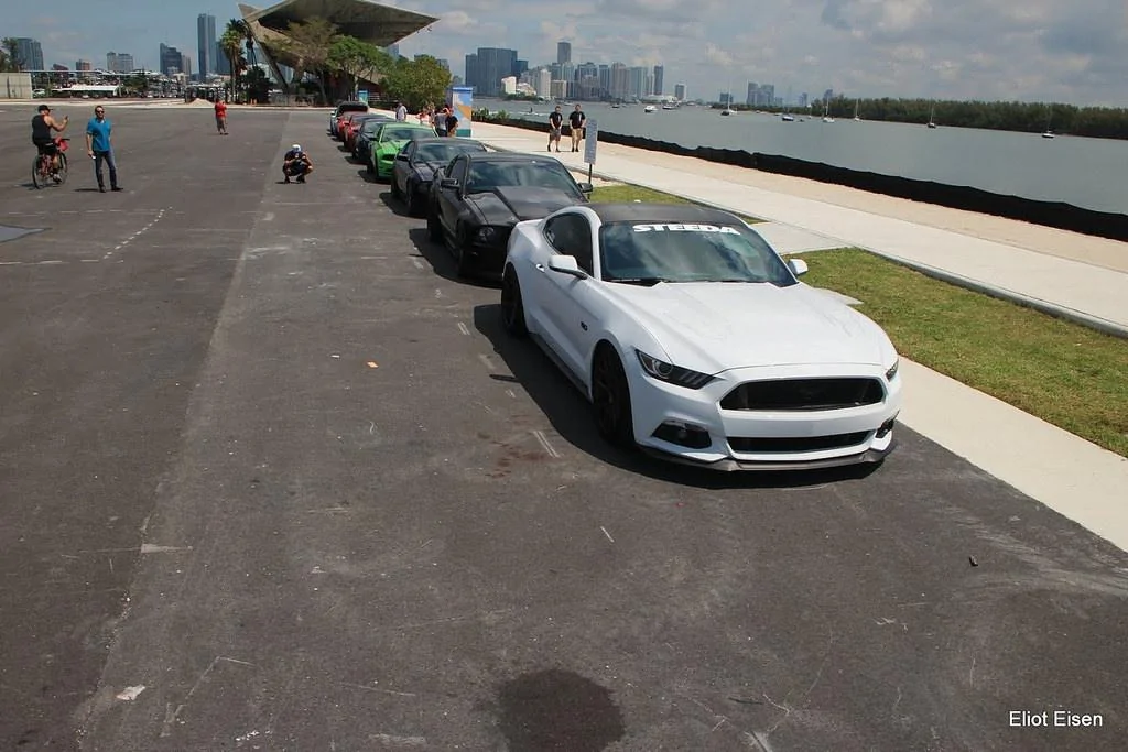 Mustang-Take-Over-11.webp