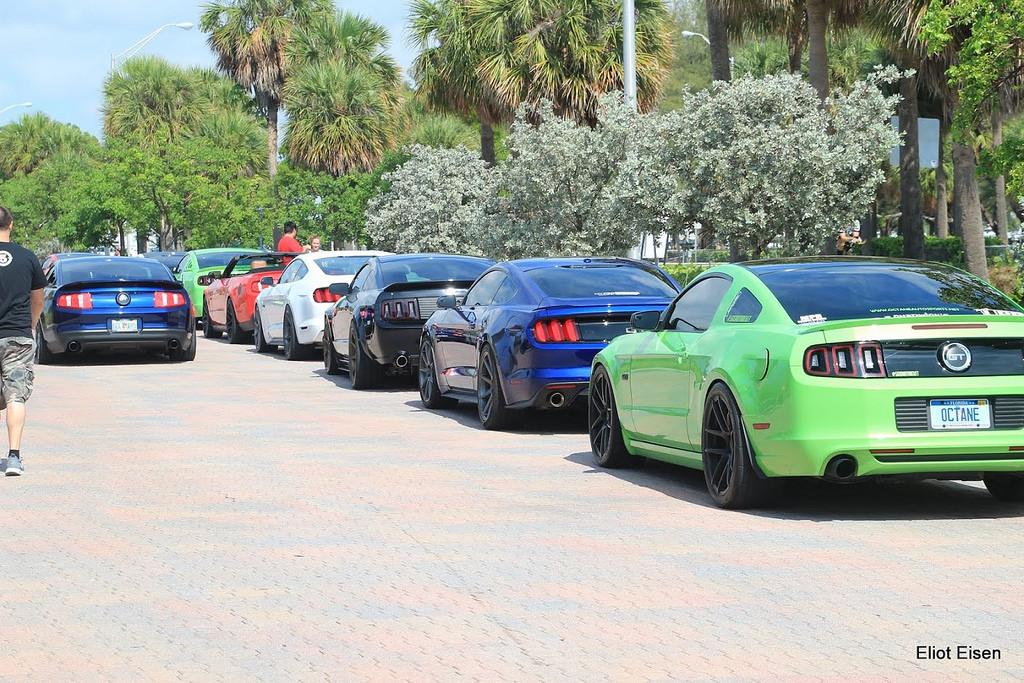 Mustang-Take-Over-14.jpg