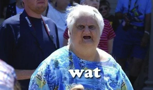 wat-lady-meme.webp