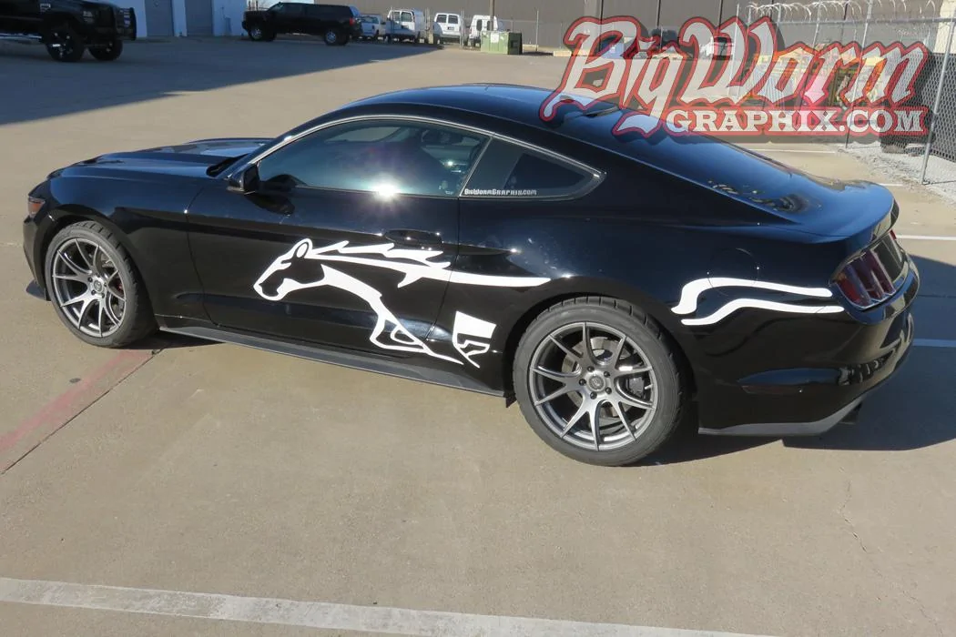 2015-gt-blk-white-stallion-lrg.webp