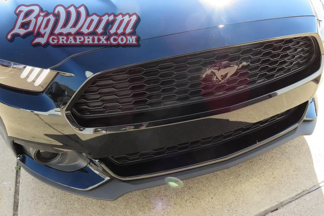 2015-eco-blk-front-emblem-lrg.webp