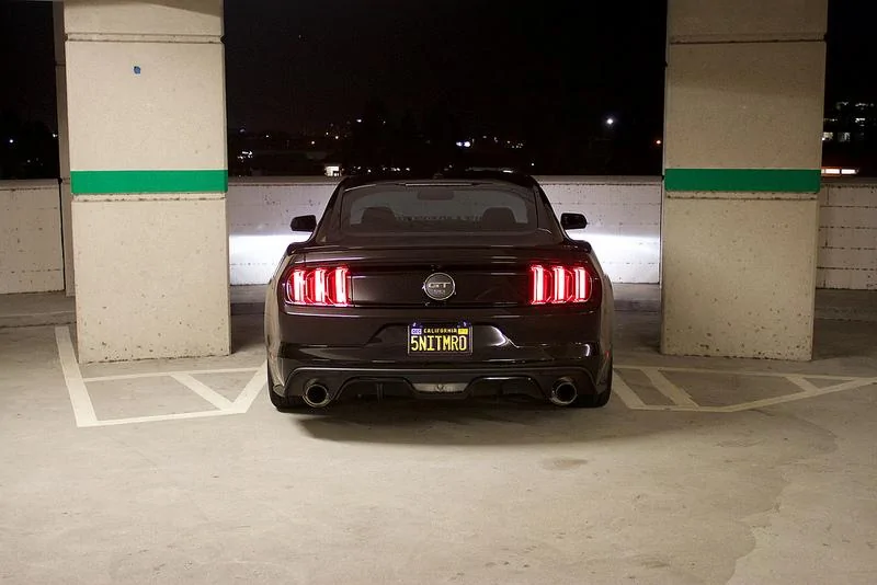 27397375403_88f8c73e87_c.webp