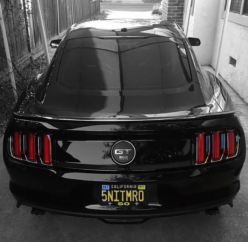27730947910_724f26fe3a.webp