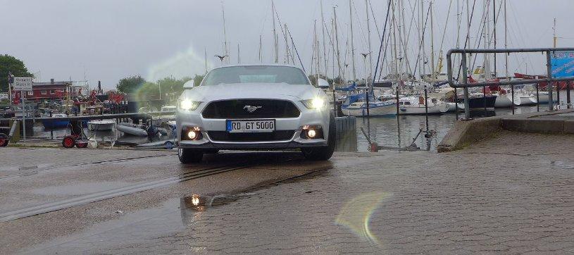 Silvy%205.0%20Mustang%20GT%20Auto%20PP%20Elena%20B%C3%BCcker%20Alois%20Buecker%2097.jpg